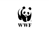 WWF logo